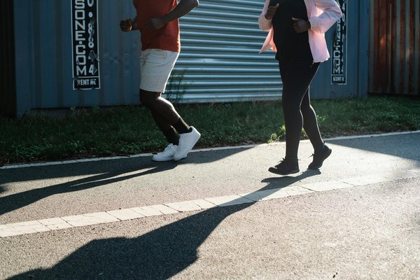 Essentiels de la phytothérapie pour la maison